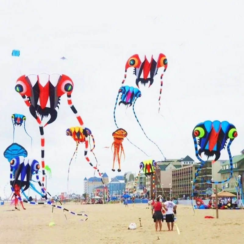 Trilobites kite for adults inflatable kite professional wind soft kite fabric ripstop nylon papagaio de vento praia gel blasters