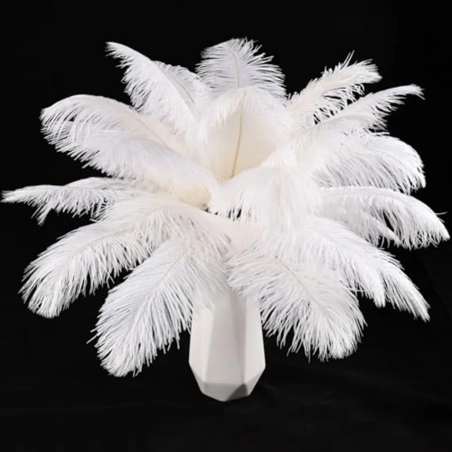 

THARAHT White Ostrich Feathers 24pcs Natural Bulk 8-0Inch 20cm-25cm for Crafts Wedding Party Centerpieces Christmas Tree Decora