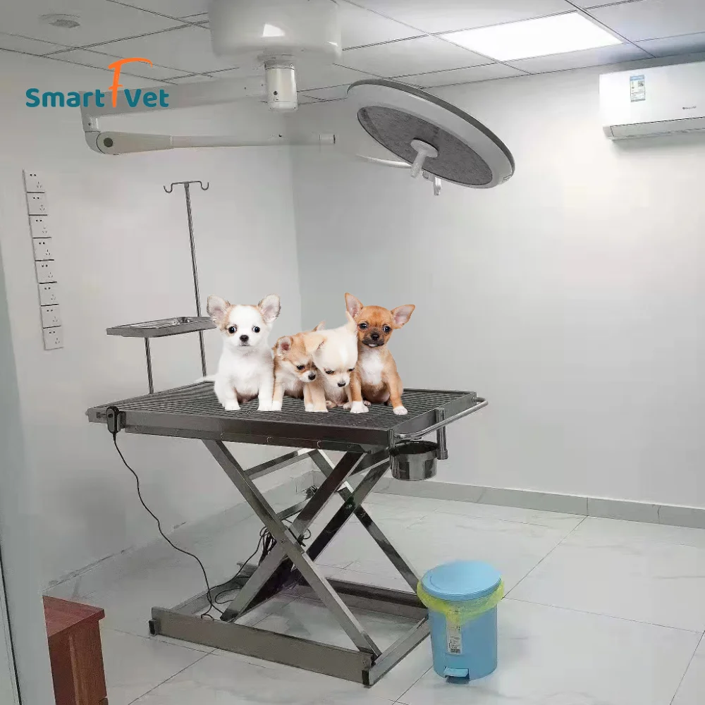 Vet Surgery Table Pet Operating Table Stainless Steel Veterinary Operating Surgery Bed for Vet Clinic and Hospital