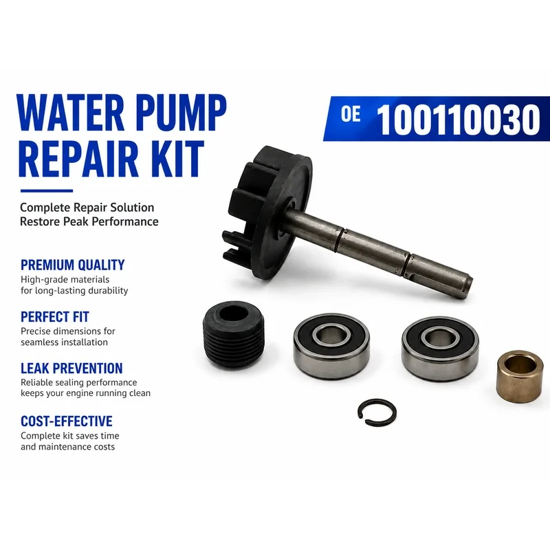 100110030 Water Pump Rebuild Repair Kit for Gilera Runner FX FXR Piaggio Hexagon SKR Aprilia SR 125 150 180 2T