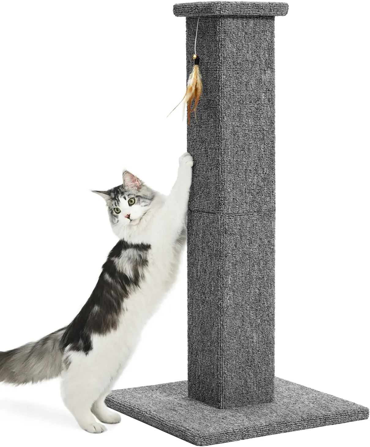 

32-Inch Tall Cat Scratching Post with Carpet and Toy for Indoor Cats, Kittens, Adults in Grey