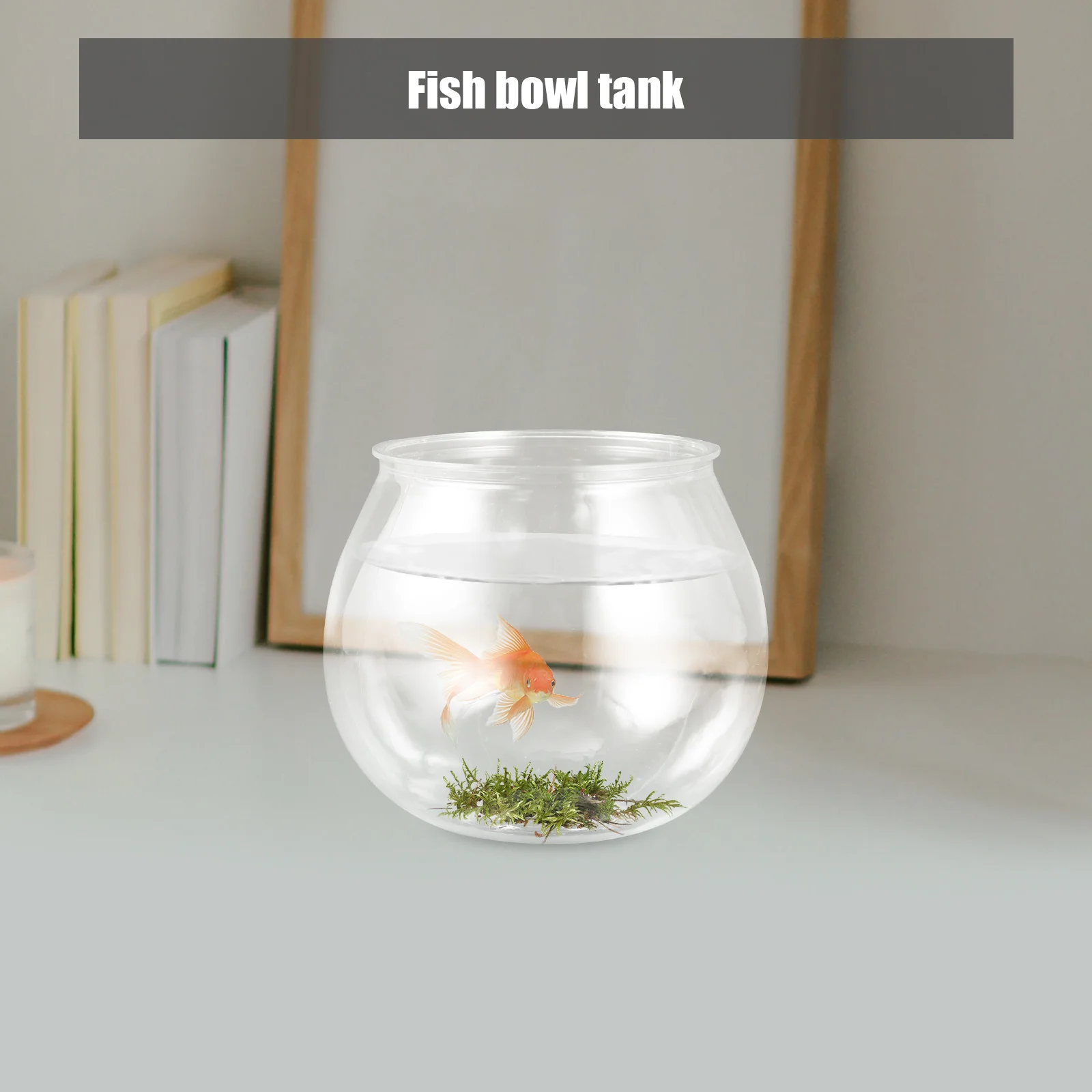 Mini Fish Tank Tanks Portable Bowl Plastic Anti-falling Holder Storage Container