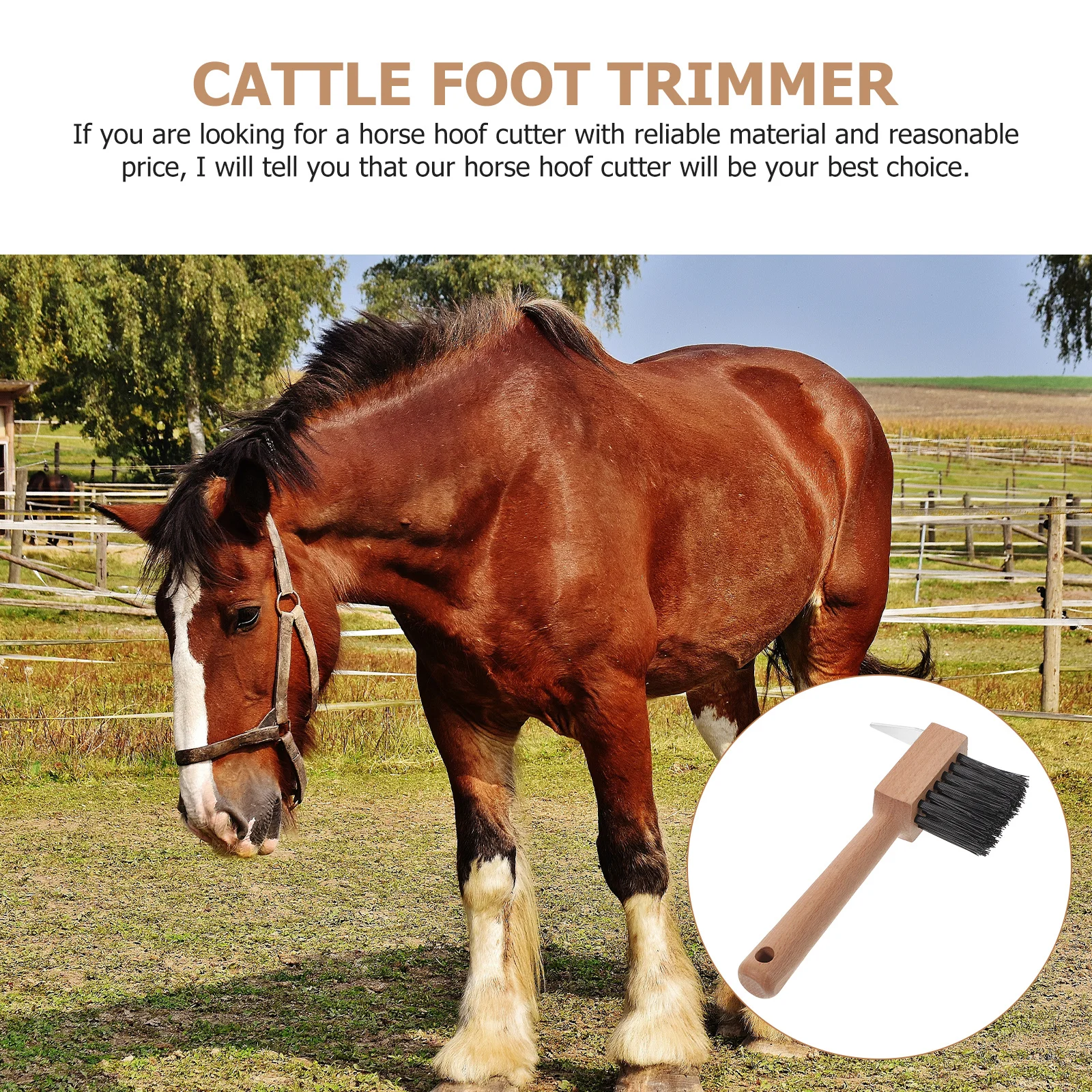 Horse Hoof Brush Heavy Duty Construction Reliable Performance Smooth Edge Use for Livestock Farm Tools Horseshoe