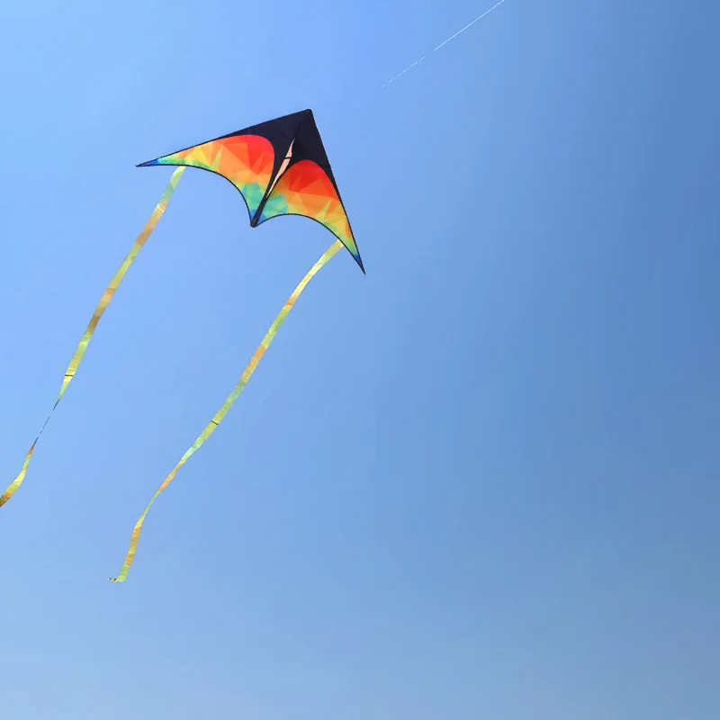 Nieuw Prairie Kite Vouwmodel Draagbaar 125x65cm met 50m lijn Kinderverjaardagscadeau