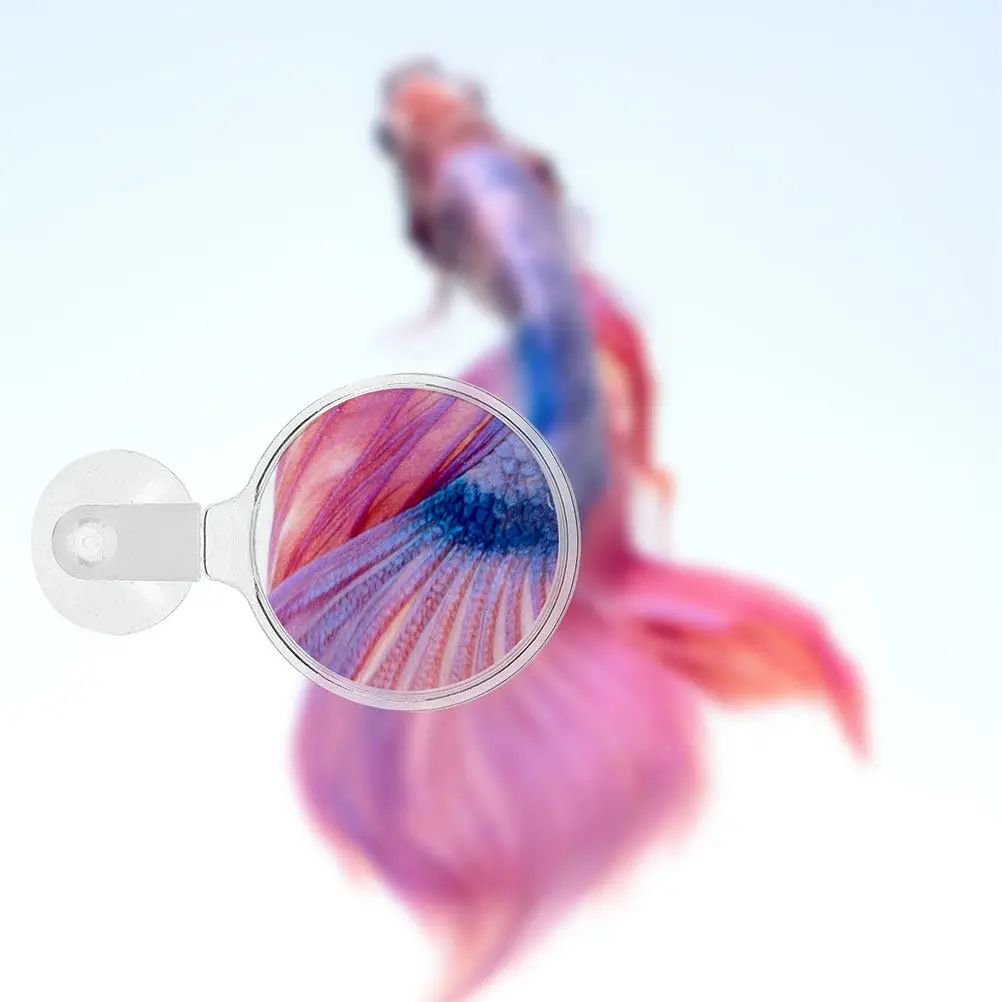 Aquarium Magnifier with Suction Cup Acrylic Magnifying Lens for Fish Tank Plants Ants Spiders Viewing