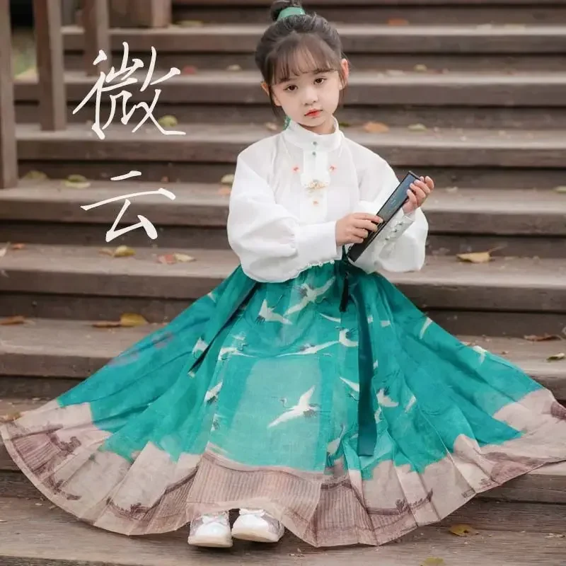 Girl Improved Green Crane Print Hanfu Tang Suit Original Han Elegant Fairy Chinese Style Daily Horse Face Skirt