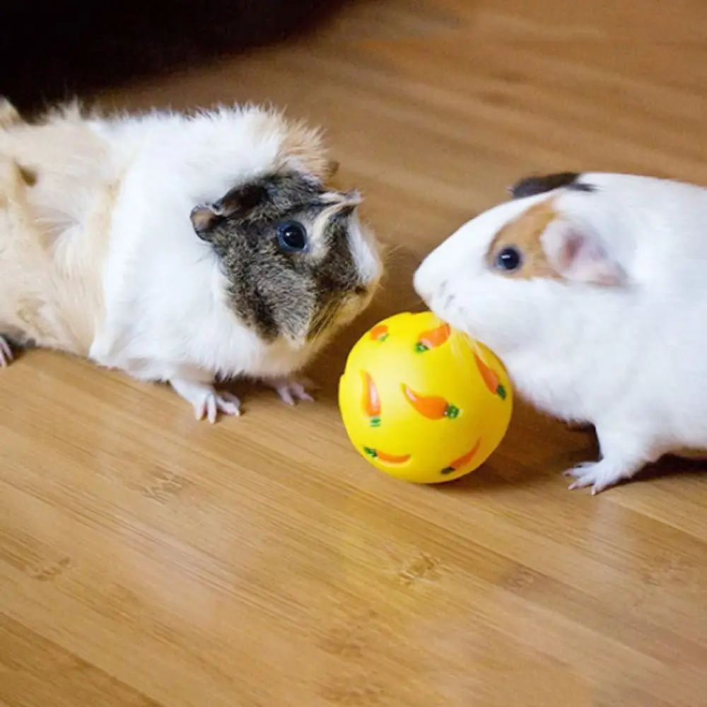 Practical Bite Resistant Rabbit Treat Ball Interactive PVC Rabbit Tumbler Ball Small Pet Slow Feeder For Kitten