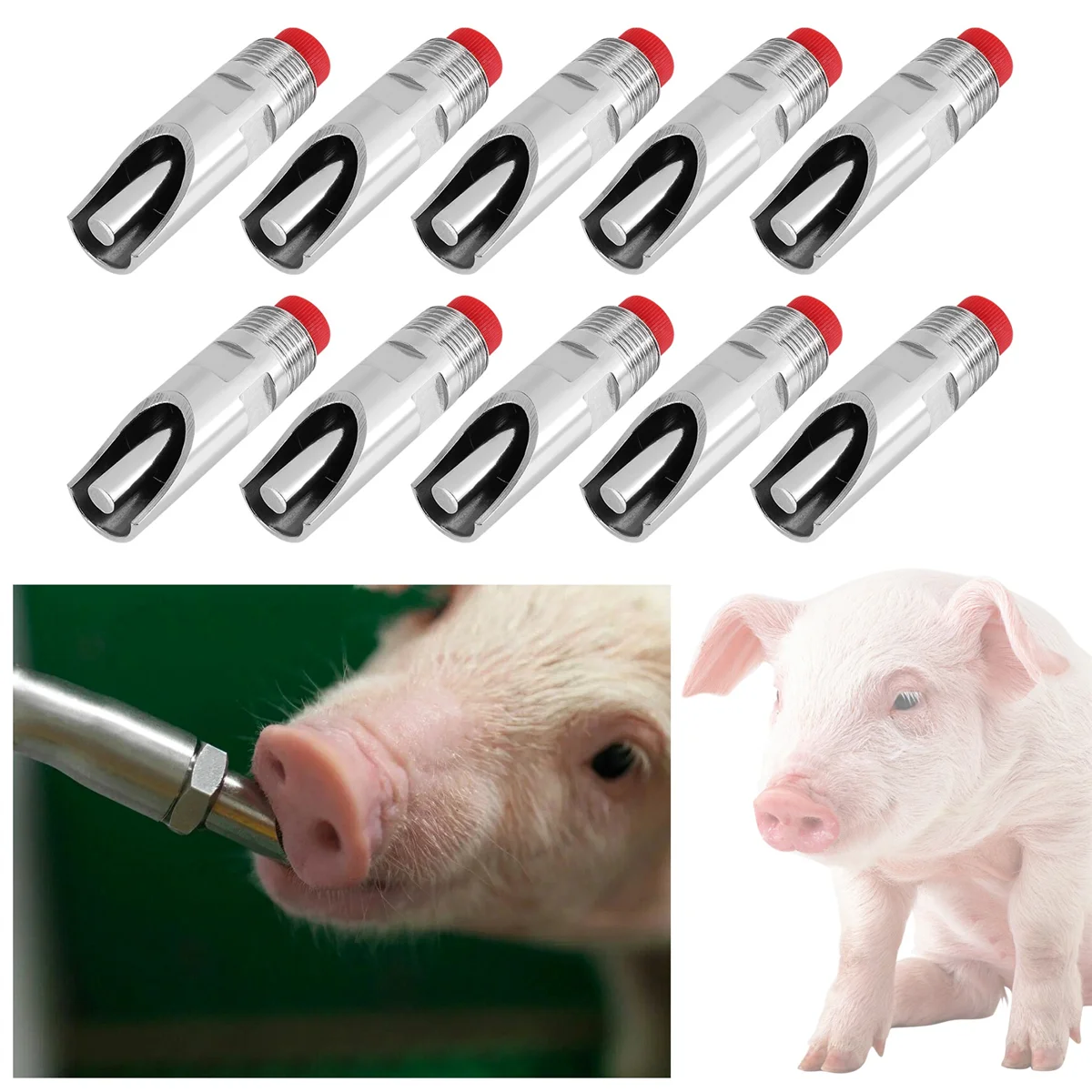 10 Stainless Steel Pig Automatic Nipple Water Dispenser, Automatic Water Nozzle, Drinking Nipple