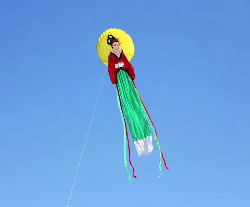 무료 배송 성인을 위한 중국 전통 연 비행 야외 장난감 연 릴 독수리 새 새로운 펜던트 parapente