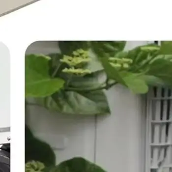 Plastic Drip Pan for Window AC with 1-Meter Drain Hose to Channel Condensate to Desired Drain Point Without Modification