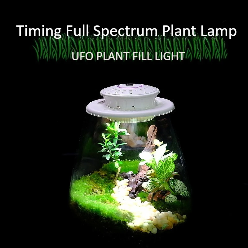 โคมไฟปลูกต้นไม้แบบเต็มสเปกตรัม สำหรับไมโครแลนด์สเคป โคมไฟปลูกต้นไม้พร้อมฝาครอบ โคมไฟปลูกต้นไม้แบบแก้ว สำหรับไมโครแลนด์สเคป