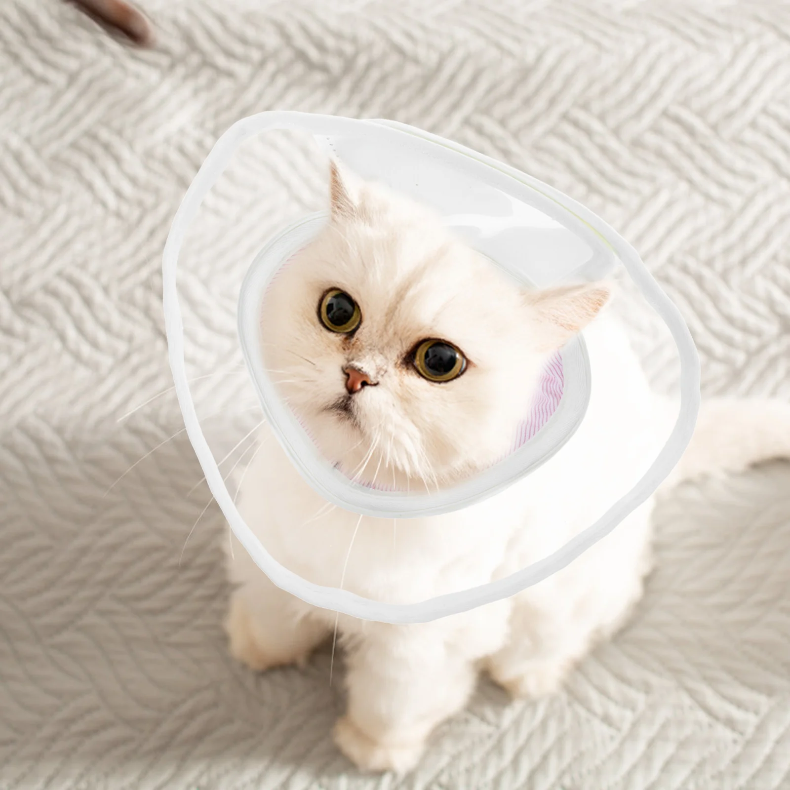 

Cat Recovery Collar Lightweight Durable Breathable Pet Surgery Collar Anti-Bite Anti-Licking Cone for Wound Healing