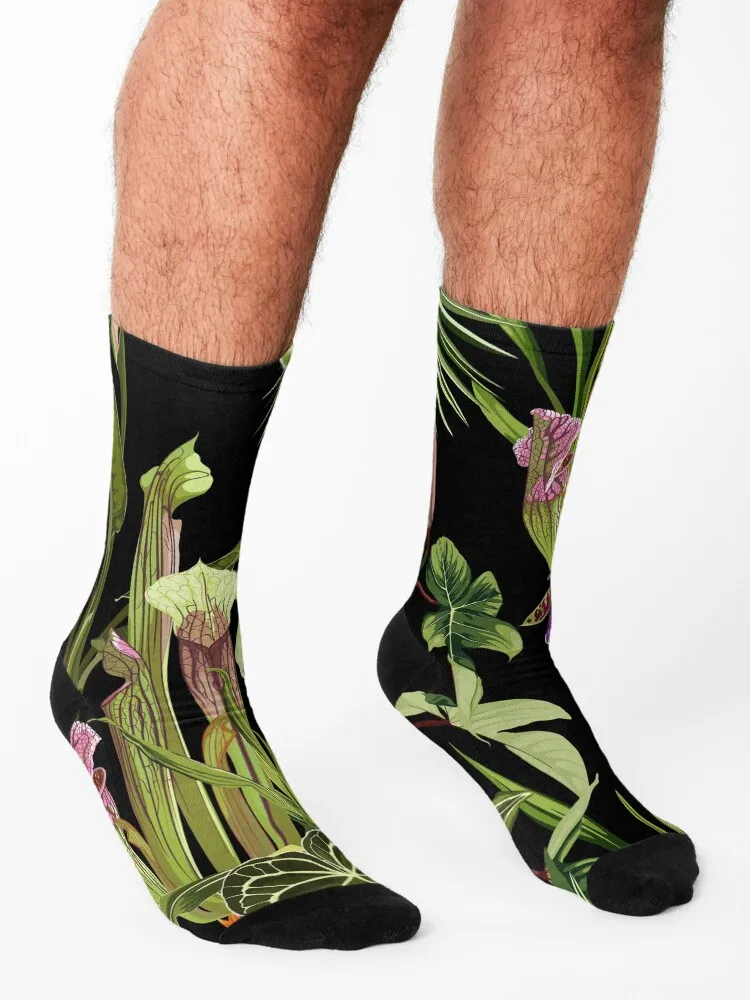 Jungle rainforest. Sarracenia, genus of carnivorous plants. Monkey cups exotic liana plant. Socks