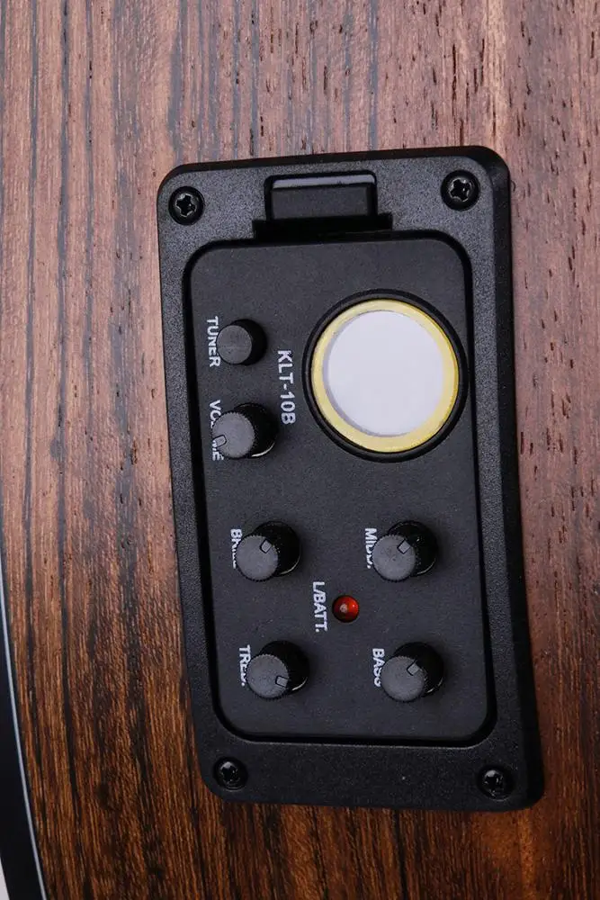 Electro Musical Instruments 40 Inch Cutaway Semi Acoustic Electric Guitar