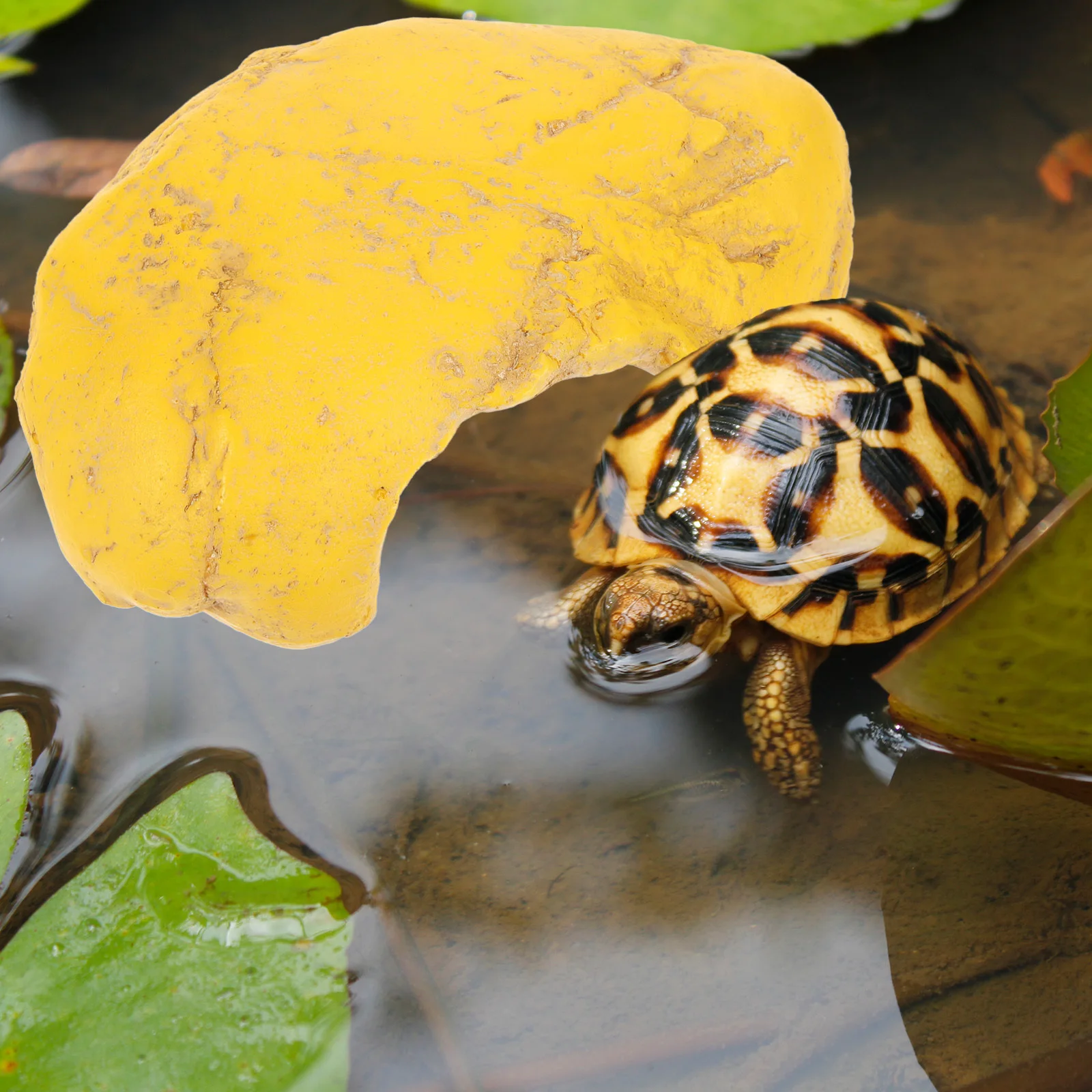 

Natural Turtle Platform Realistic Reptile Cave Desktop Aquarium Decor Fish Tank Accessories Moss Reptile Hideout