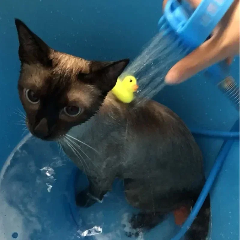 Artefato de banho para cães, cabeça de spray para animais de estimação, urso de pelúcia, escova satsuma, suprimentos para gatos e cães, cabeça de chuveiro de massagem de silicone