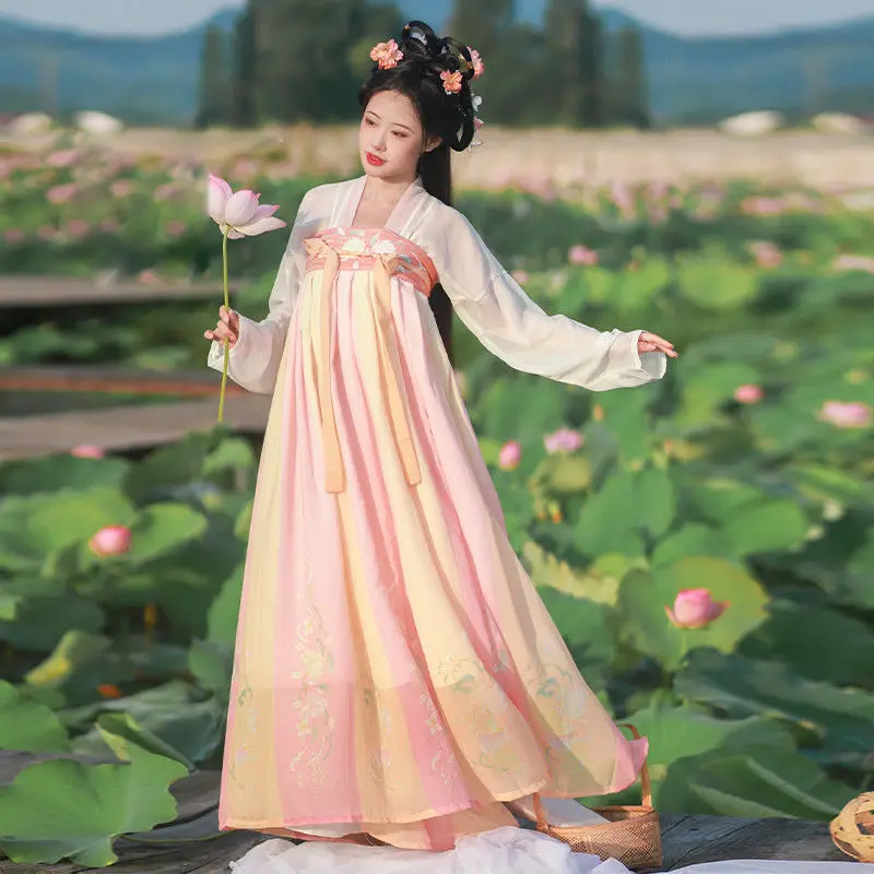 Chinese Style Hanfu Dress Set Women Vintage Tang Dynasty Fairy Dance Stage Costumes Female Sweet Floral Print Princess Outfits