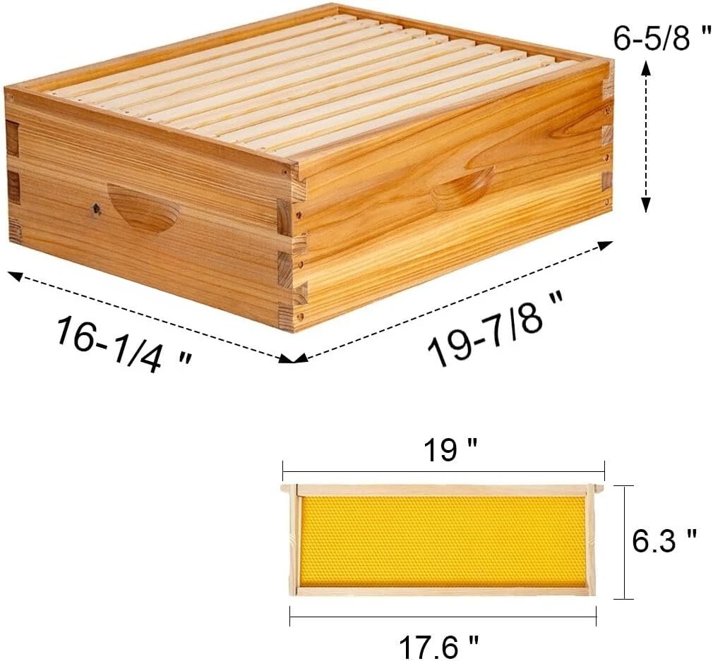 

Коробка для пчелиного улья среднего размера с 10 рамами, медовый пчелиный улей, созданный из 100% пчелиного воска включает в себя рамы для улья и восковые основания — горячая распродажа