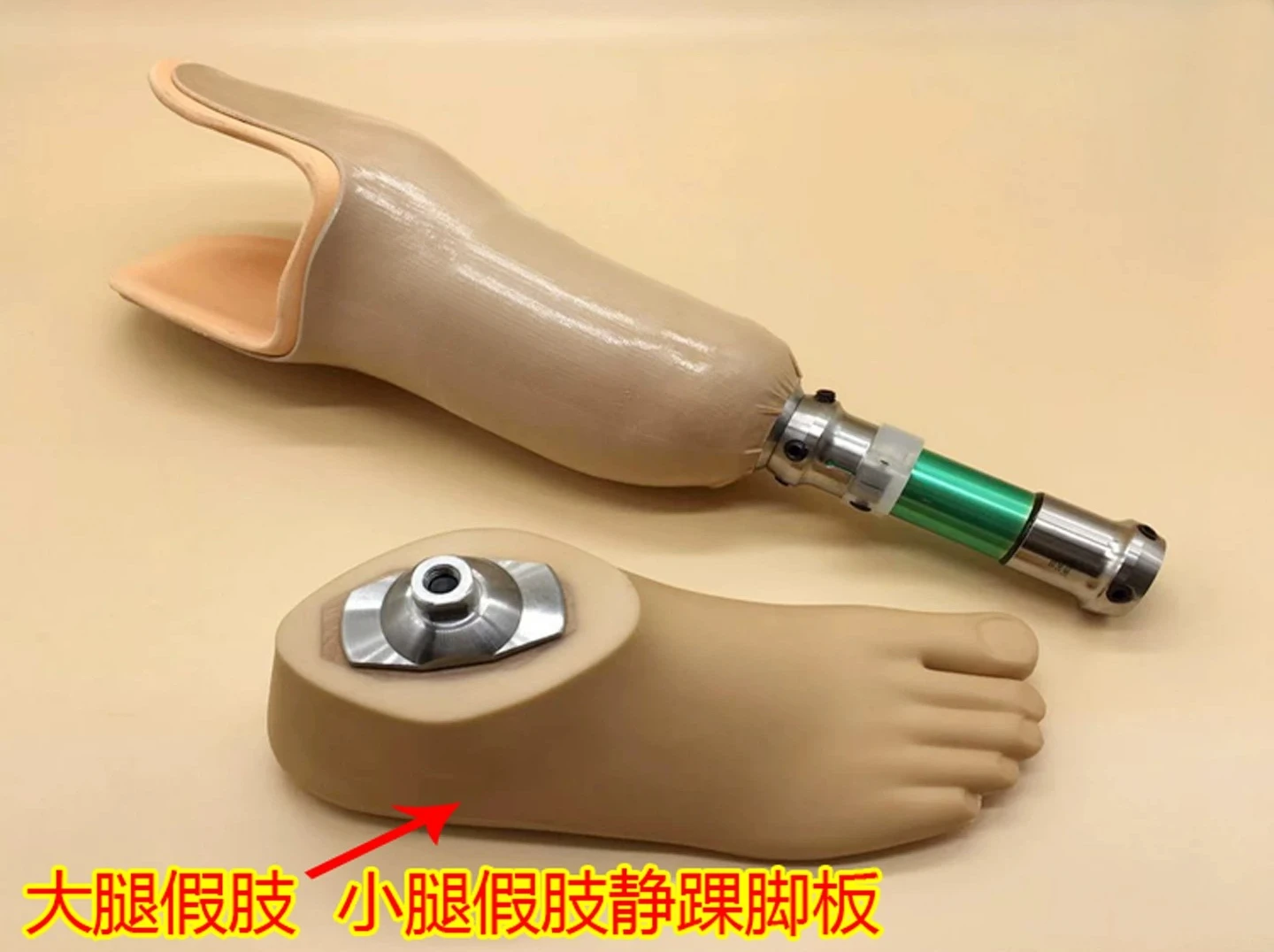 Prosthetic Foot Board Static Ankle 22～27cm Accessories Parts Artificial Limbs Ortheses Prostheses Sockets Fasten