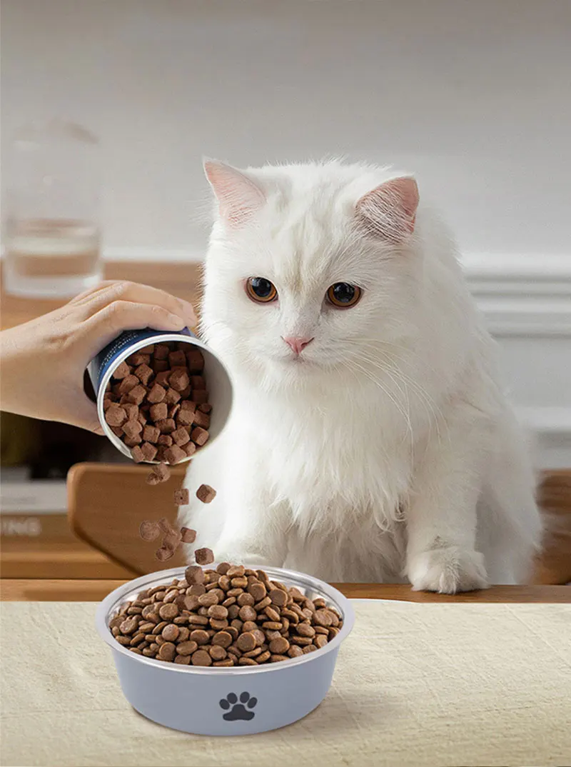 Hundenapf mit rutschfester Gummibasis und Trinknapf für kleine Katzen und Hunde, Edelstahl-Futternapf für Haustiere – Detail 6