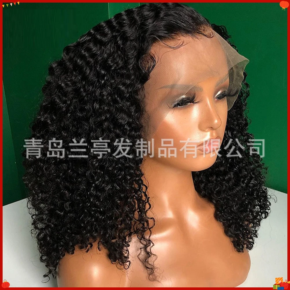 Synthetic Curly Wig for Women Afro Kinky Short Lace Front Cosplay Party Daily Wear High Temp Fiber