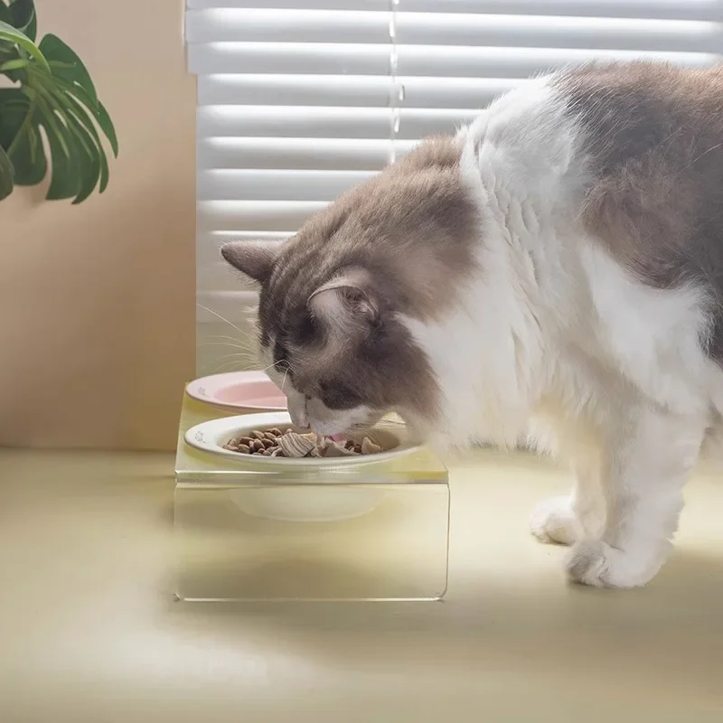 고양이 및 개용 높이 아크릴 그릇 랙, 식품 누출 방지, 애완 동물 물 그릇 피더, 개와 고양이용 완벽한 선택