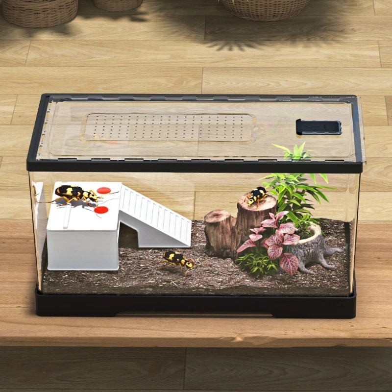 Reptile Reptile Acrylic Feeding Box Household Transparent Lizard Spider Snake Display Tank Reptile Large Breeding Habitat view 3