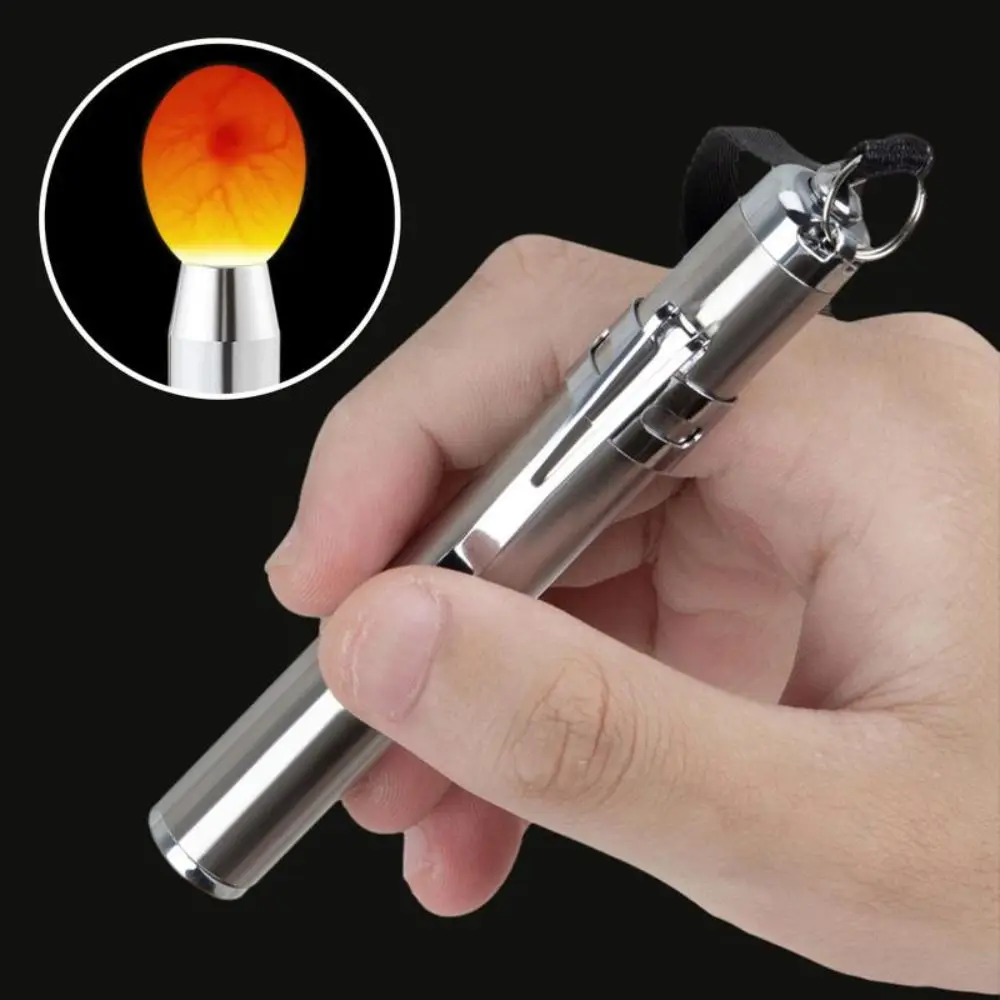 Stainless Steel LED Egg Detector Lamp Cold Light with Flashlight Incubator Eggtester LED Light
