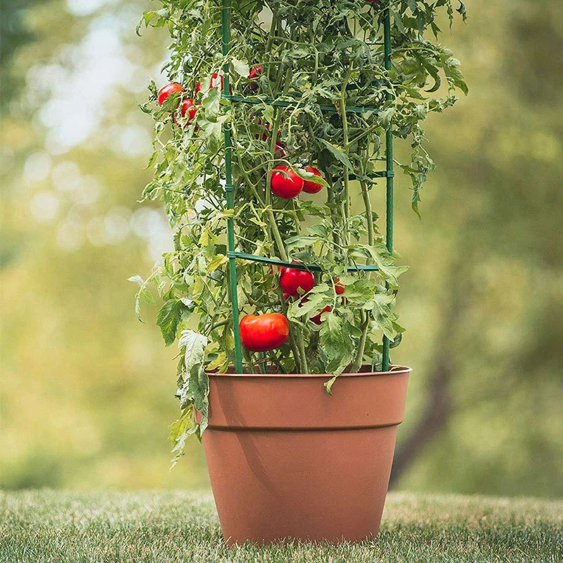 Garden Vegetable Stakes Plant Cages To Support Plant Growth Anti Overturning Tomato Cages For Vertical Climbing Of Plants