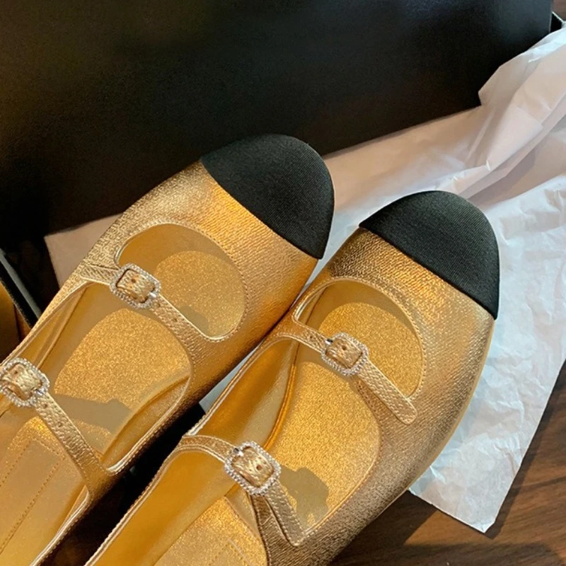 Elegante Mary Jane Schoenen Vrouwen Gesp Gemengde Kleur Ondiepe Mode Kleding Schoenen Dames Ronde Neus Flats Schoenen Zapatos De Mujer