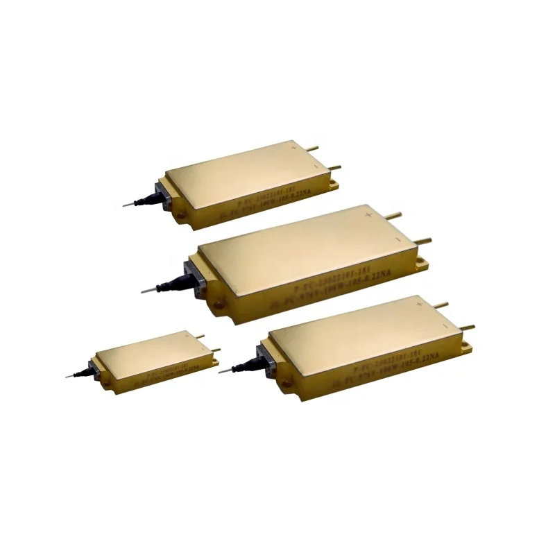 808Nm 976Nm Customi…