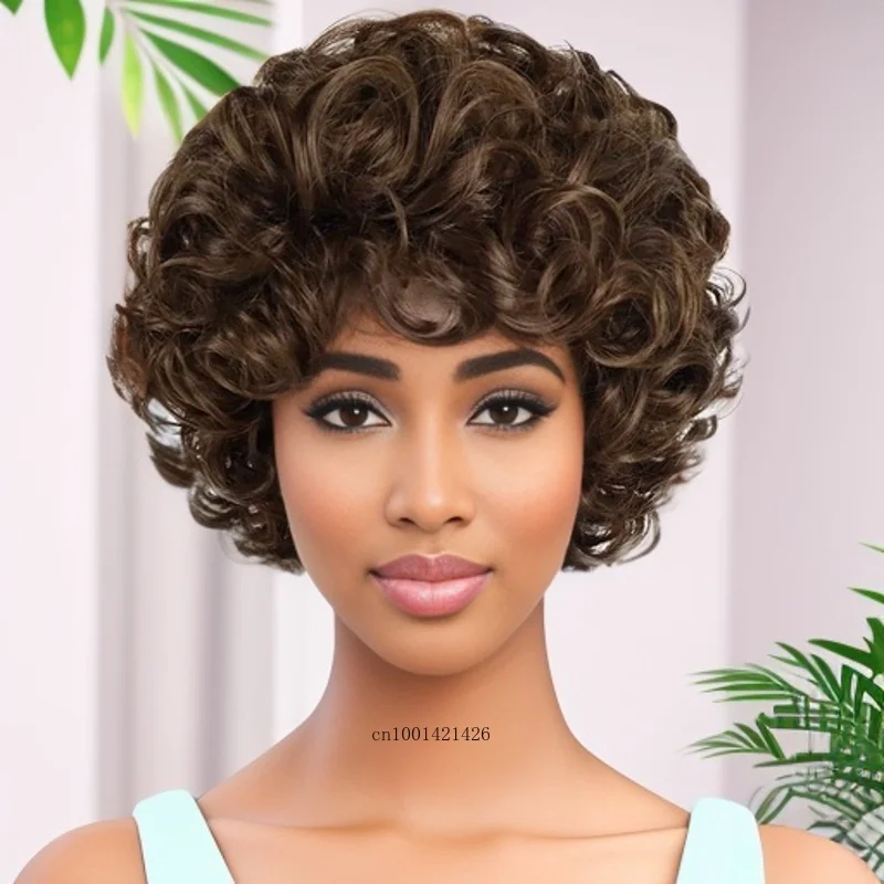 Curly Black Women Wig Short Brown Synthetic Wigs Female Hairstyles Casual Style Replacement Afro Curls Natural Mommy Wigs Soft