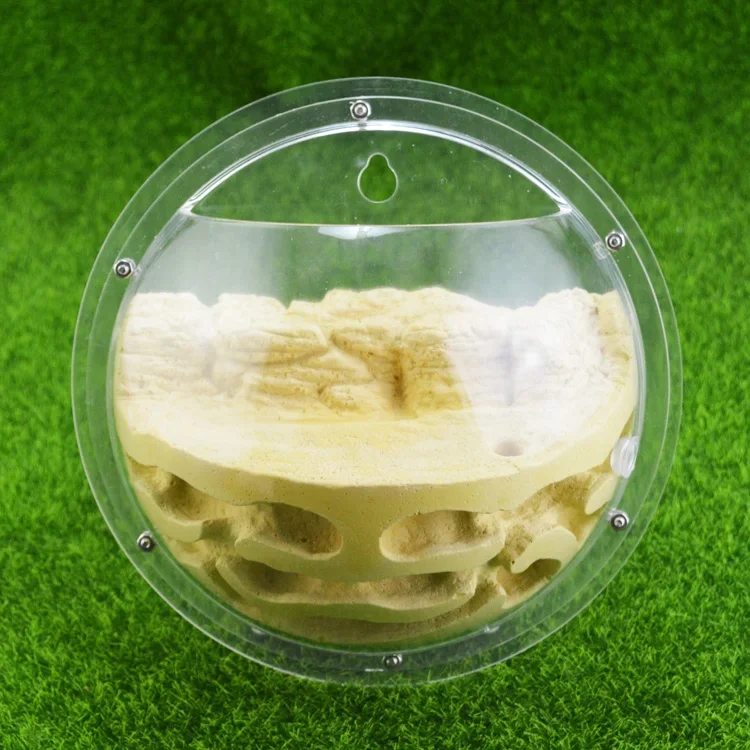 1PCS High Definition Acrylic Semi Circle Hanging Ant Nest Outer Diameter 185mm Ant Farm Ant Feeding Area