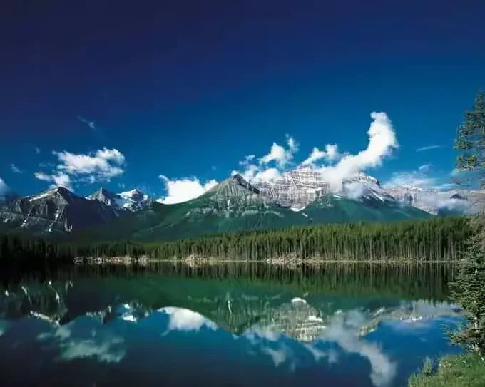 

HGLRC MY10 FPV Drone Long Range Analog Quadcopter - F405 60A 5.8G 2.5W VTX 3215 900KV 6S LiPo