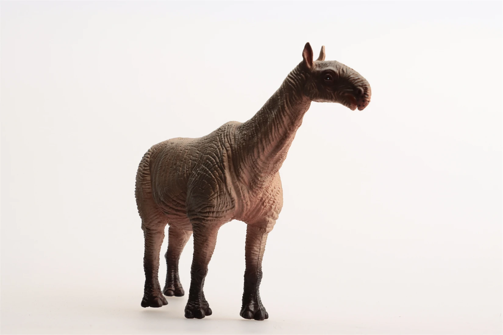 Earth Story スタジオ Paraceratherium モデル先史時代の動物フィギュアコレクションシーンの装飾誕生日ギフトのおもちゃ