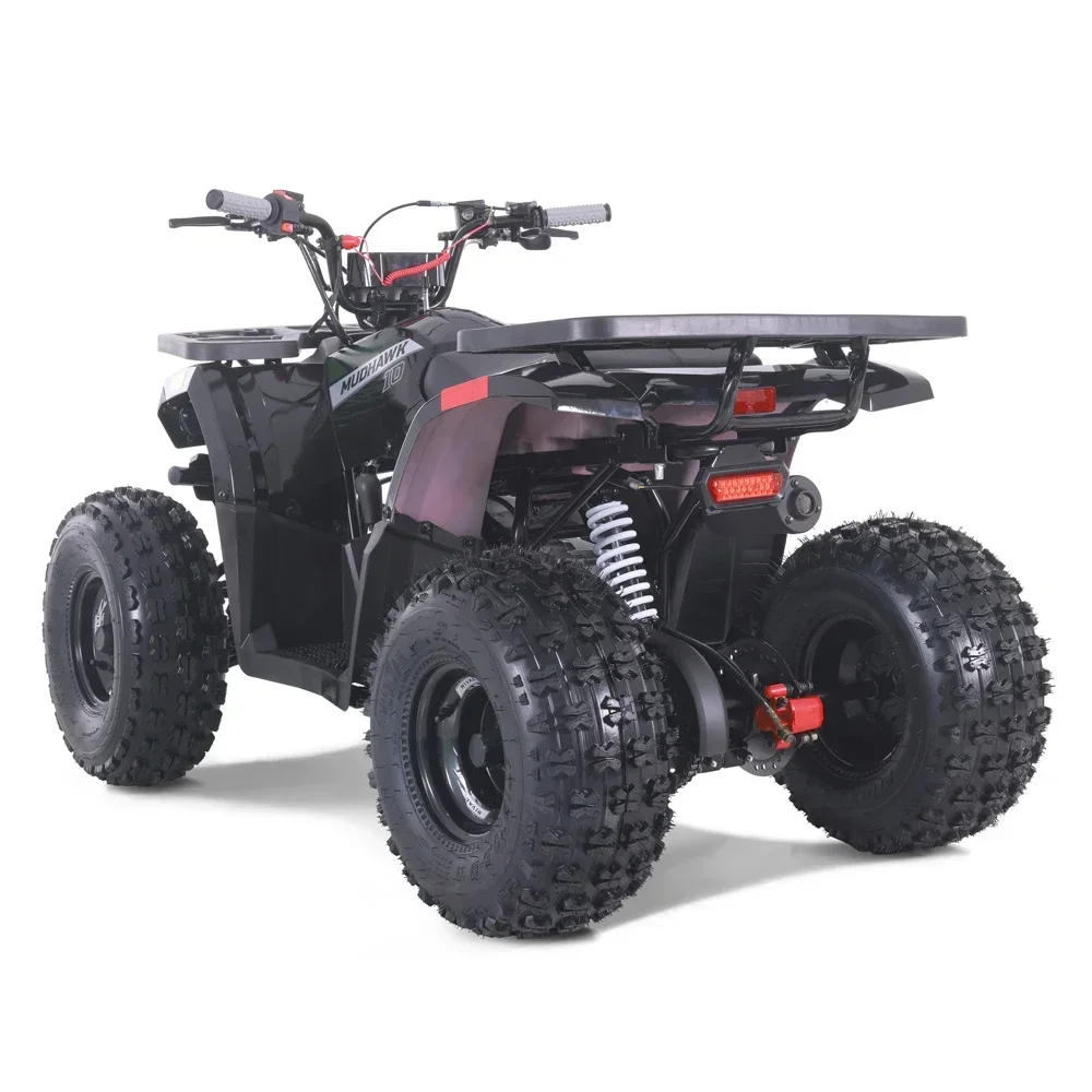 2024 New Cheap ATV Kids 110cc Automatic Chain Drive ATV