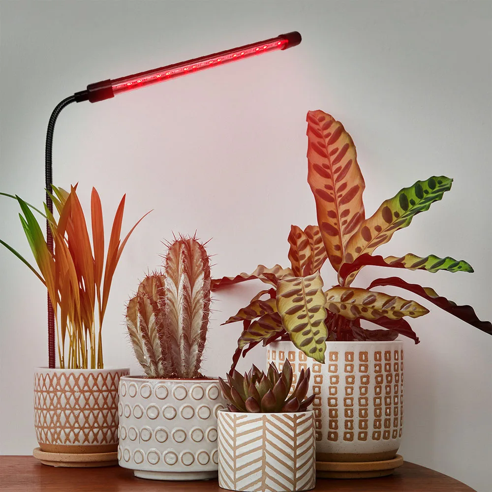

USB LED Plant Growth Light Red Blue LED Lamp with Dimming Timer Feature Just Plug into Soil for Easy Plant Care