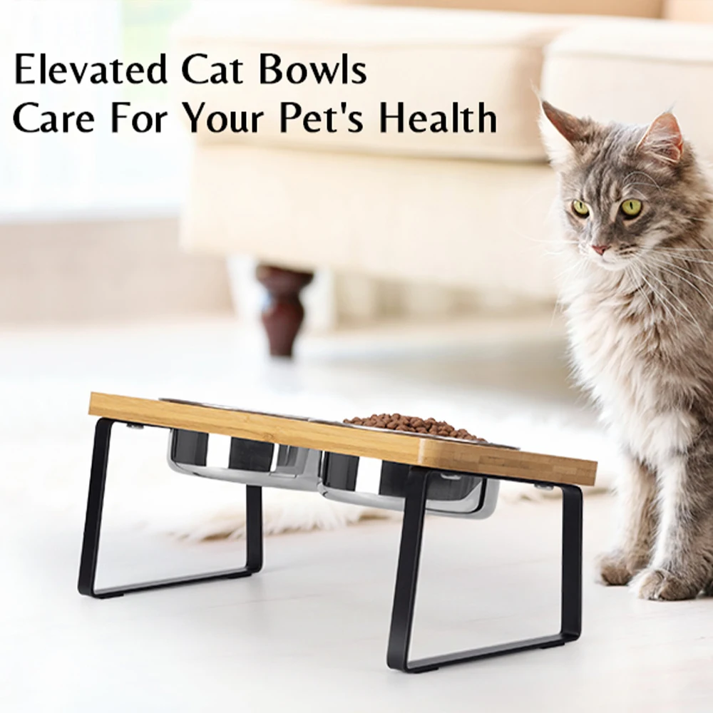 

2 Bowl Cat Feeding Station Stand Elevated Iron Frame for Indoor Cats Rust-Resistant for Small Medium Cats Easy Clean Anti-Slip