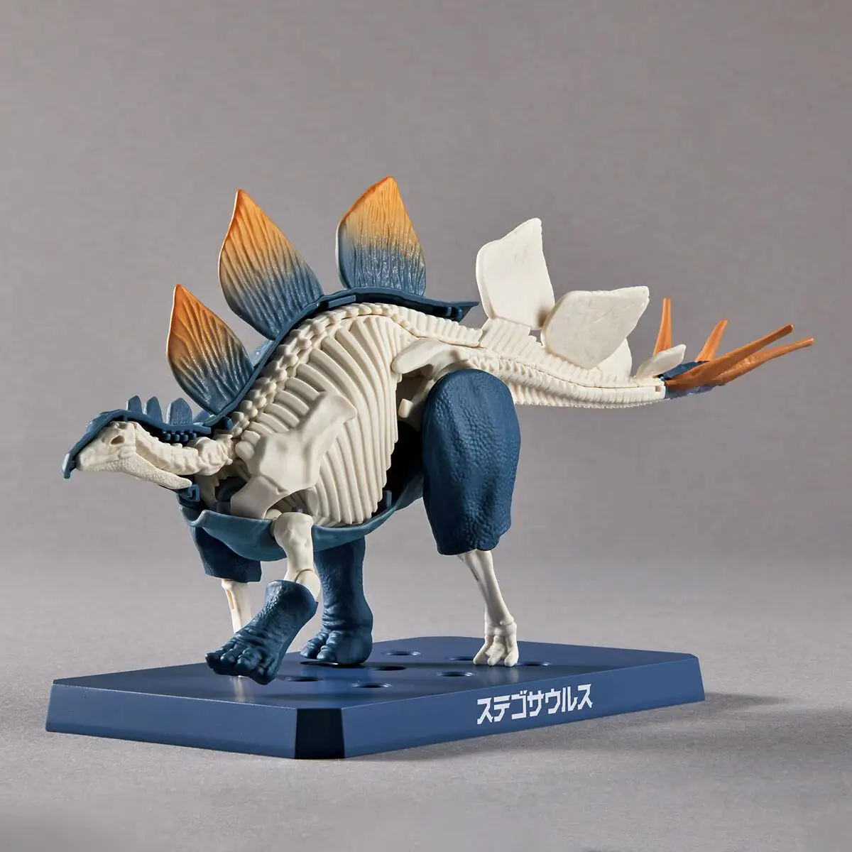 Bandai Original Kunststoff Modell Kit Plannosaurus Stegosaurus Action Figure Montage Modell Spielzeug Sammeln Modell Ornamente Geschenke