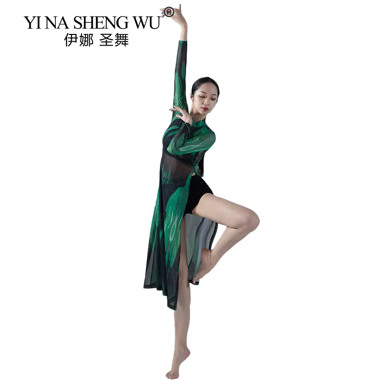 Classical Dance Cheongsam-style Long Skirt Classical Dance Female Professional Performance Mesh Long-sleeved Practice Clothes