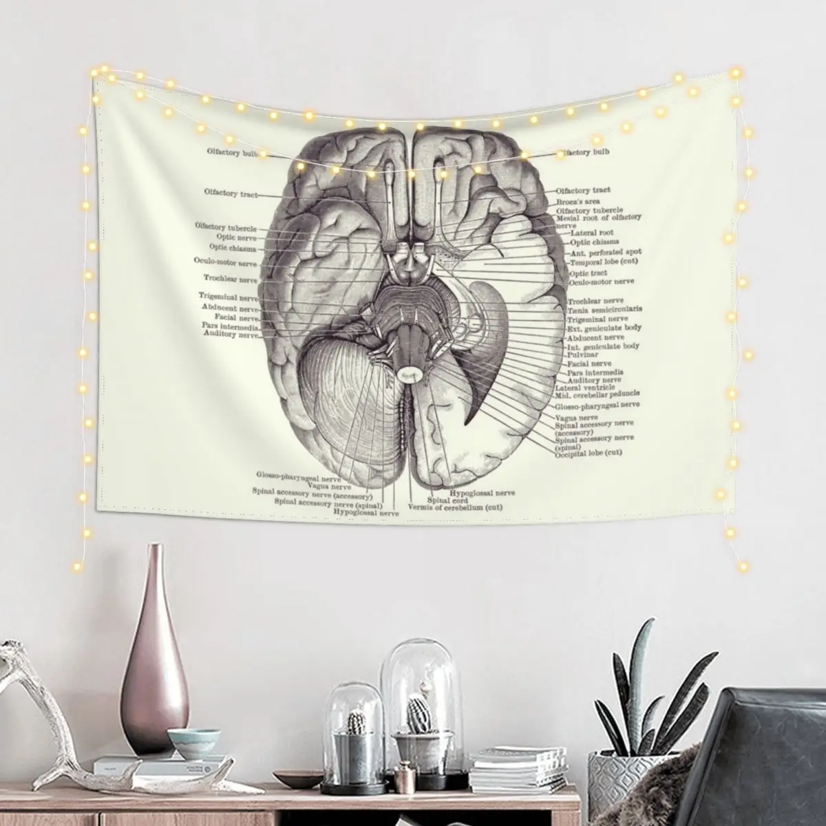 Brain Nervous System Diagram - Vintage Anatomy 2 Tapestry Living Room Decoration House Decoration Tapestry