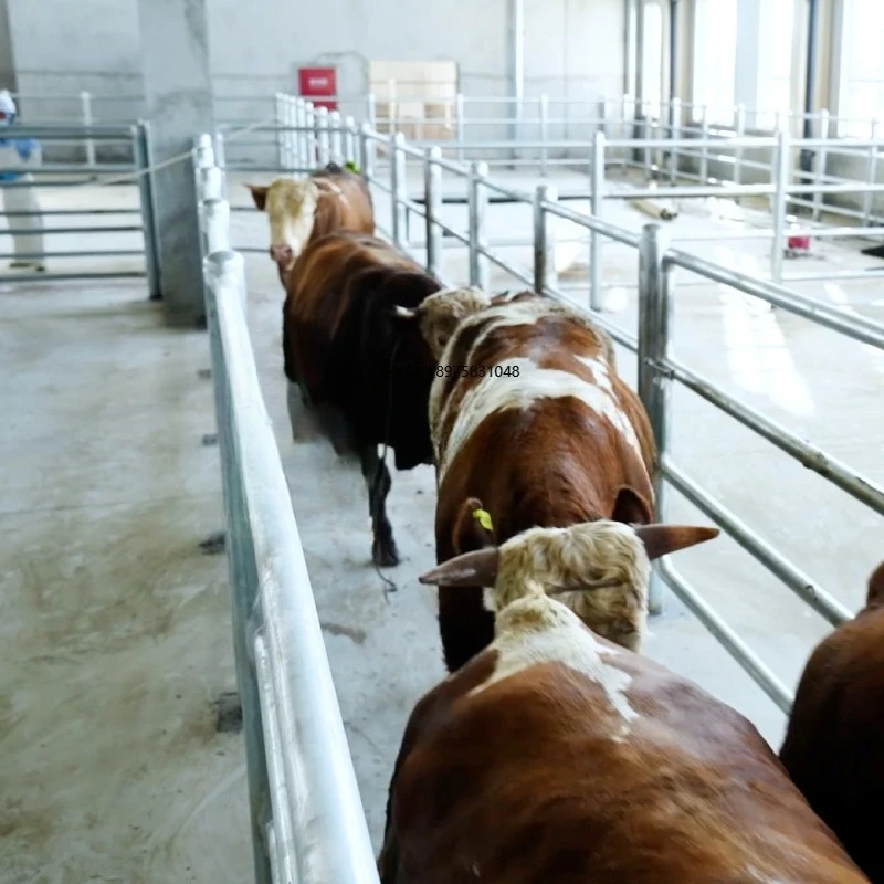 

High-performance cattle and pig slaughtering equipment for the core components of the new motor gearbox - bearing engine