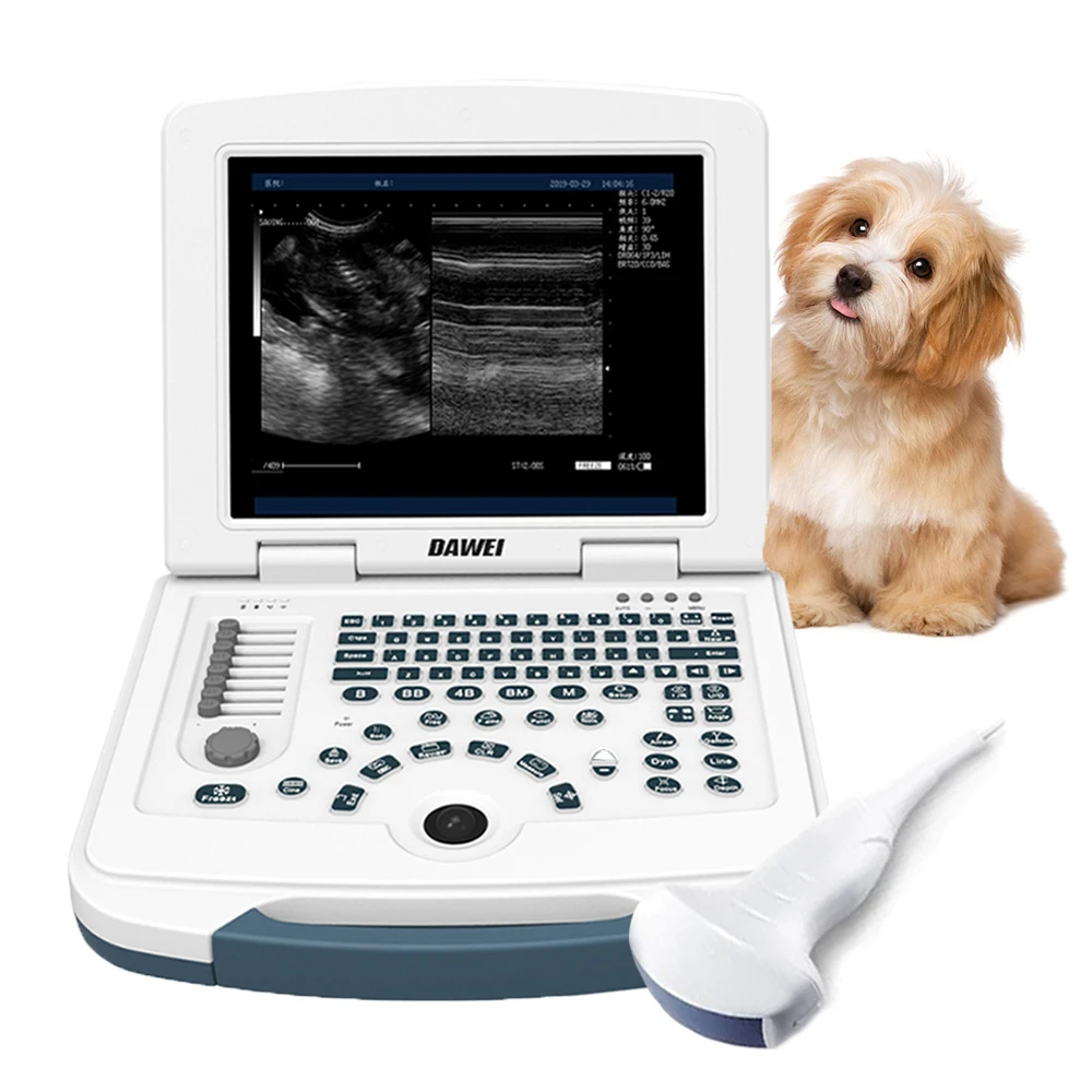 

Laptop Veterinary Ultrasound Machine Portable Vet Pregnancy Scanner 3.5MHz Convex Probe for Dog Cat Pig Sheep Use