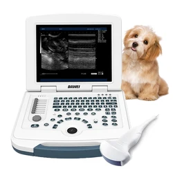 Laptop Veterinary Ultrasound Machine Portable Vet Pregnancy Scanner 3.5MHz Convex Probe for Dog Cat Pig Sheep Use