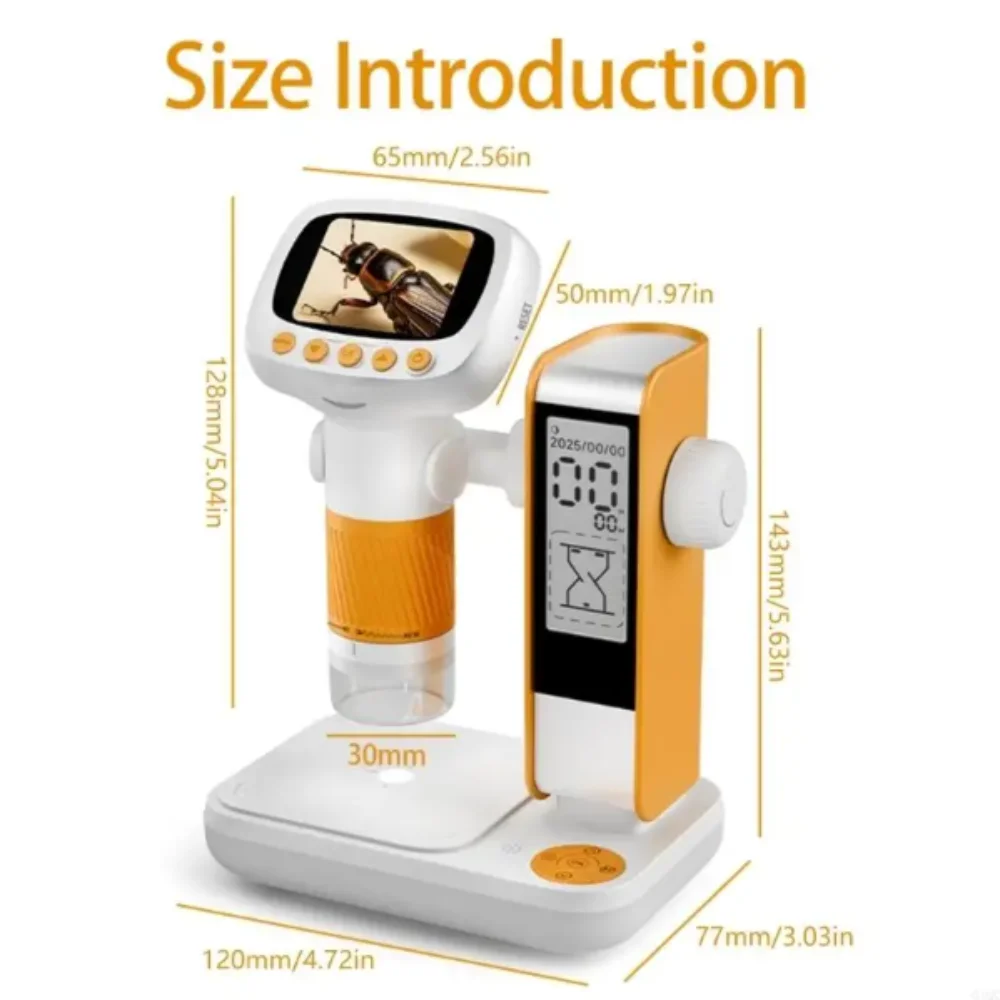 1000X Magnification…