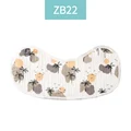 ZB22