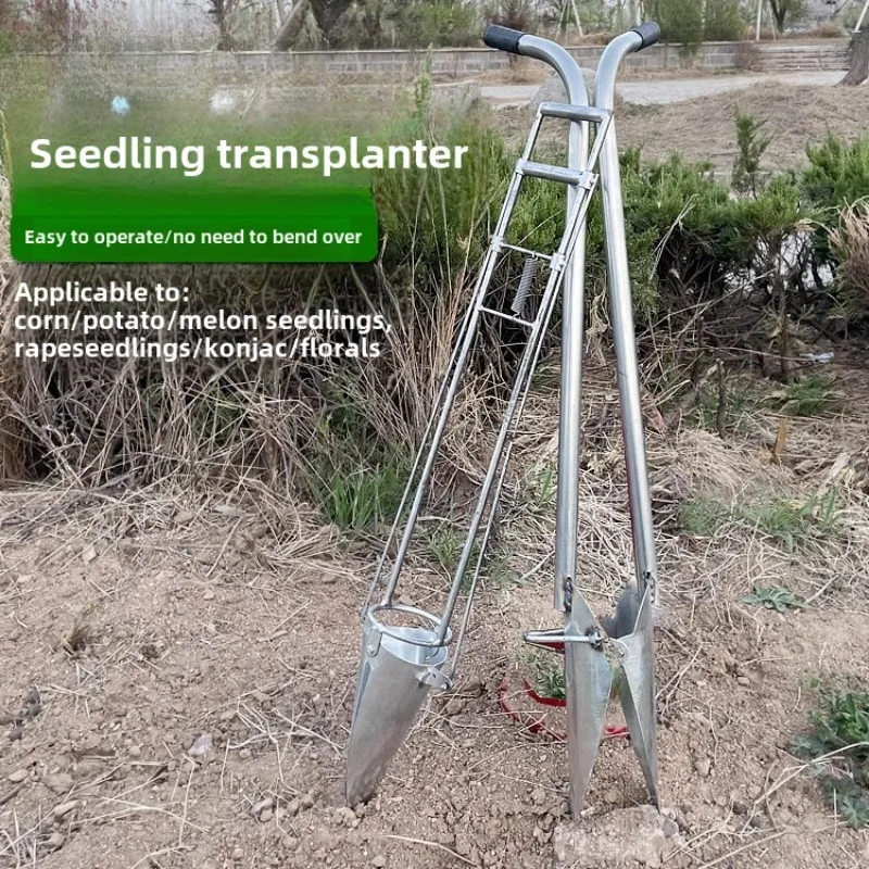 Agricultural Seedling Spring  Artifact Transplant