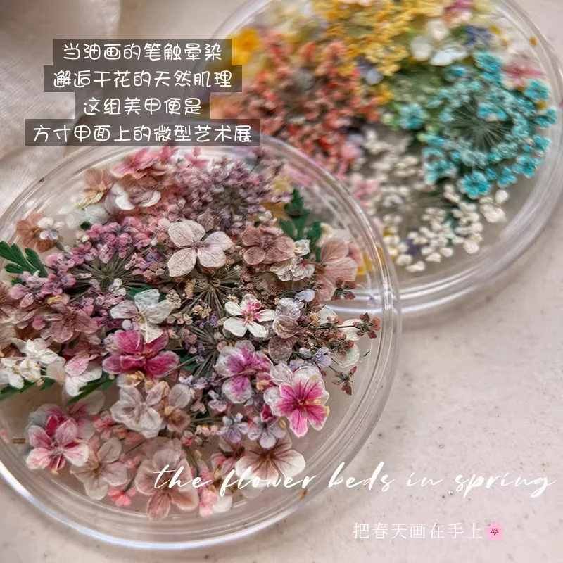 1 Caja de Mini Flores Secas Coloridas Reales para Decoración de Uñas, Calcomanías 3D de Flores Prensadas a Presión, Suministros de Bricolaje para Manualidades, Decoración de Uñas