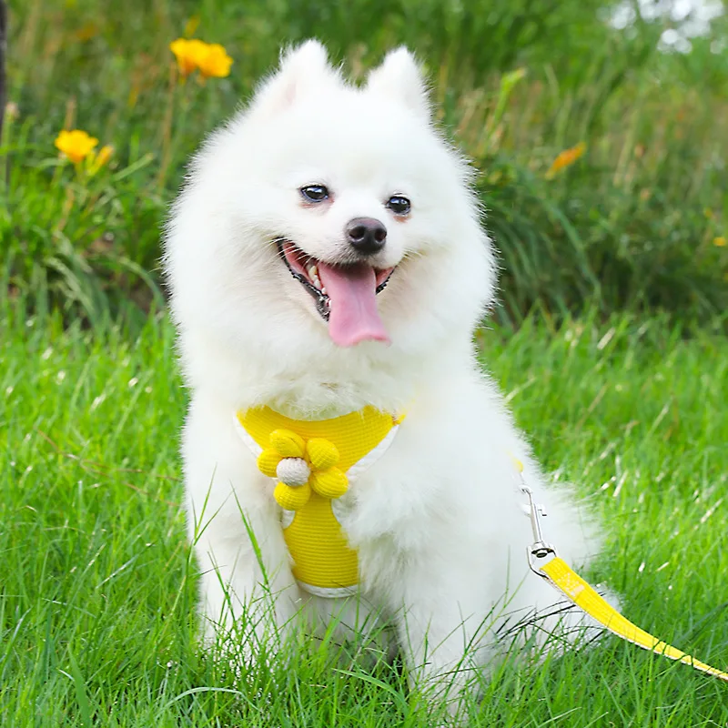

Puppy Harness Waterproof Lightweight Collar Walking Durable Dog Pet Anti-Escape Clip Adjustable Reflective No-Pull Harness Leash
