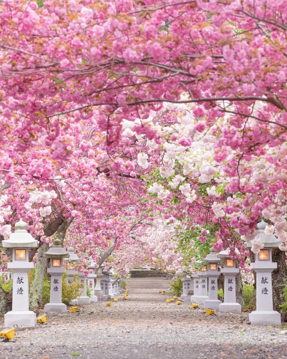 

Metal Steel Front And Rear Driveshaft Axle CVD 5451R For 1/10 Trxs E-Revo/E-Maxx/T-Maxx/Revo RC Car Upgrades Parts